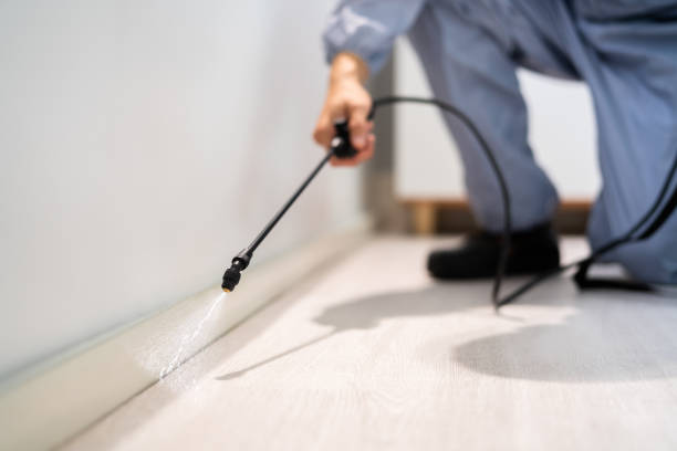 Licensed Cockroach Control service in Clear Lake, SD - Nex Pest Control